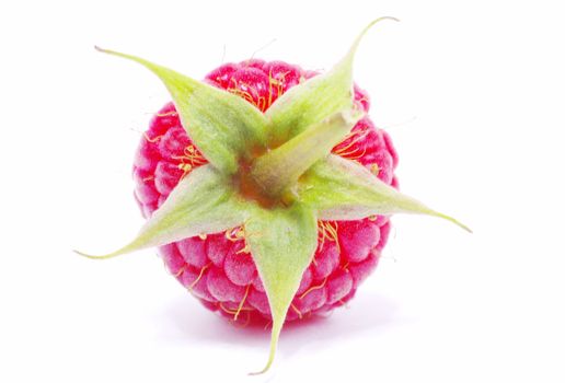 fresh raspberry closeup isolated on white background