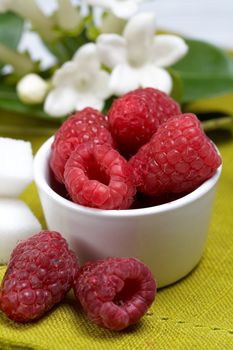 some fresh seasonal summer raspberries with yogurt