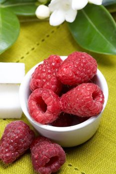 some fresh seasonal summer raspberries with yogurt