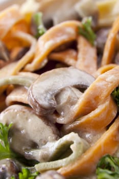 Close up of fettucini with mushroom and creamy sauce.