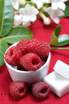 some fresh seasonal summer raspberries with yogurt