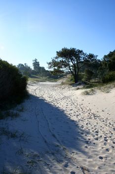 Digital Photo of a way from the Beach in Uruguay.
