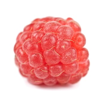 fresh raspberry closeup on a white background