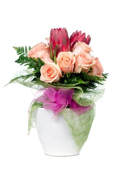 Orange rose flowers in modern white flower pot isolated on white background.