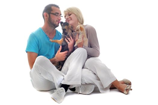 portrait of a couple and two chihuahuas in front of white background