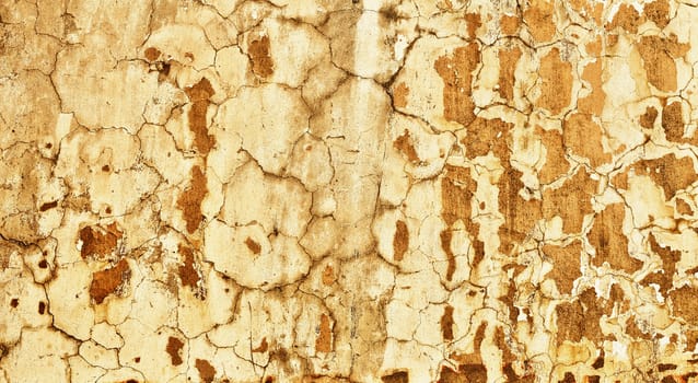 A concrete wall with the old plaster - the background