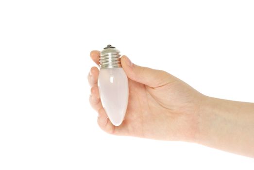  hand holding bulb isolated on white background