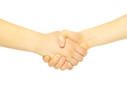 closeup of two men shaking hands isolated over white