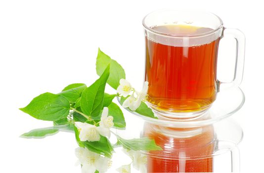 tea in cup with jasmin on white