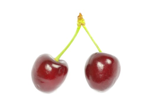 Two cherries against white background