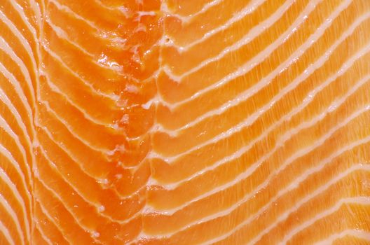 background salmon steak red fish 