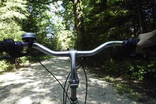 A view from the handle bars of a bike riding through a forest