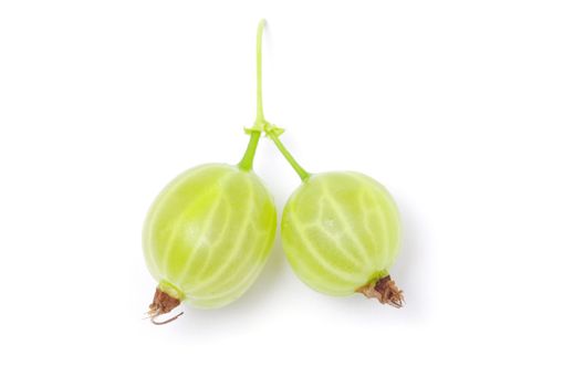 Green gooseberry fruit on white