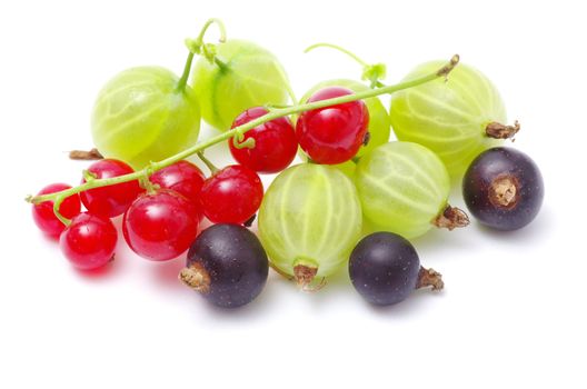 Fresh delicious summer berries isolated on white