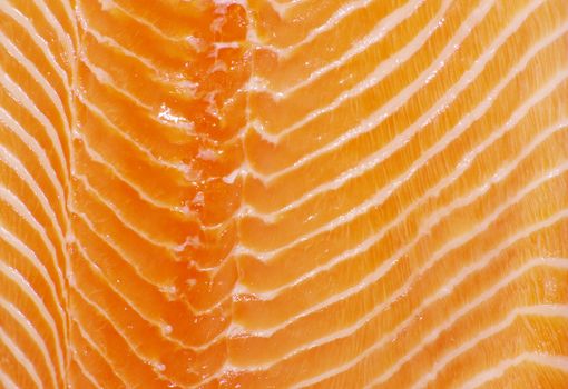 background salmon steak red fish 