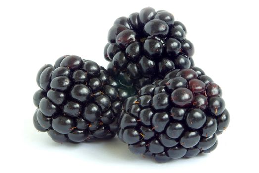 blackberry isolated on white background