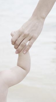Baby hand holding mother finger isolated on white