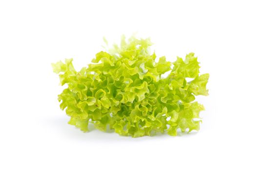 fresh green salad on white background