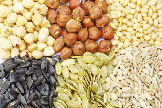  seeds and nuts with collection