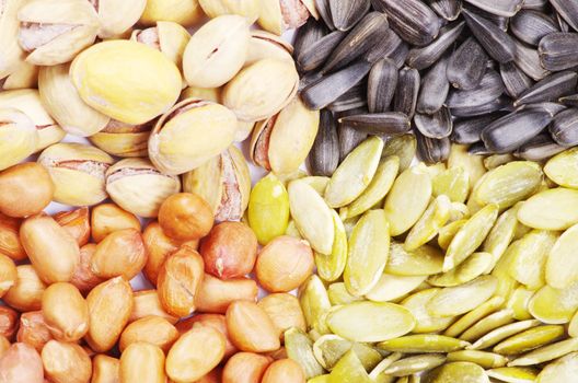  seeds and nuts with collection