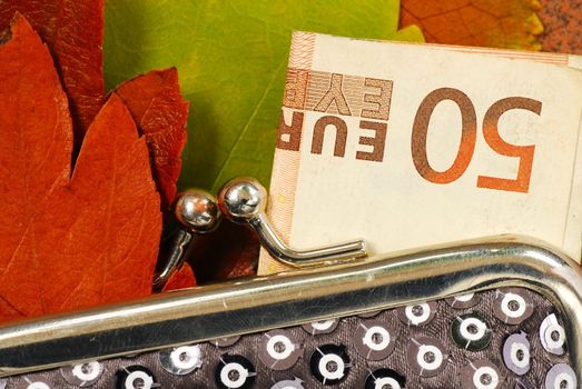 details of silver purse over colorful autumn leaves