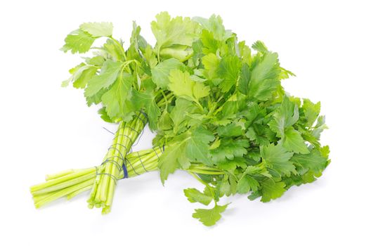 Bunch of fresh green parsley isolated on white background