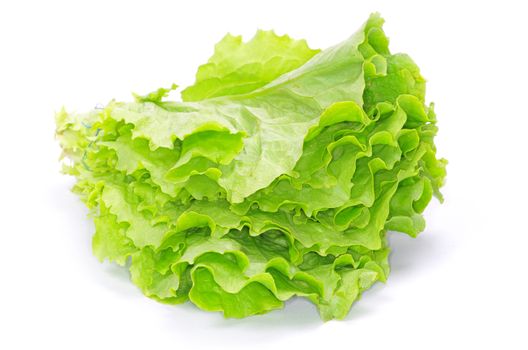 fresh green salad on white background