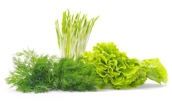 Fresh herbs isolated on white