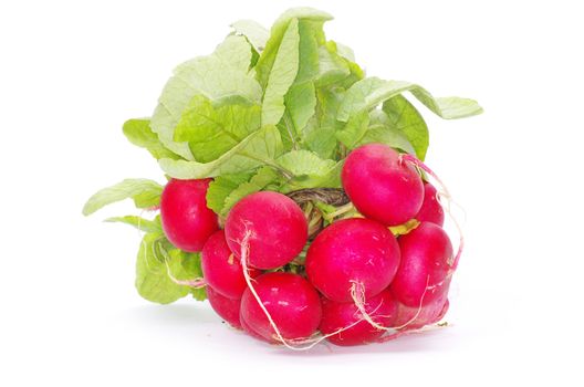 Fresh radishes on a white background
