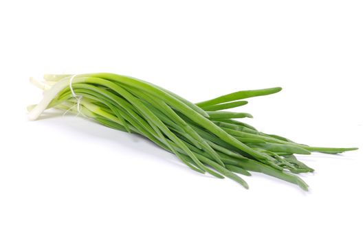 onions on a white background