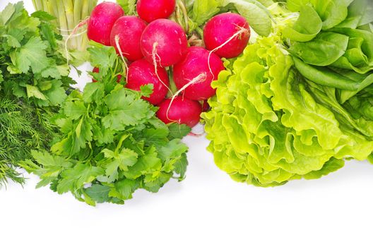 herbs isolated on a white