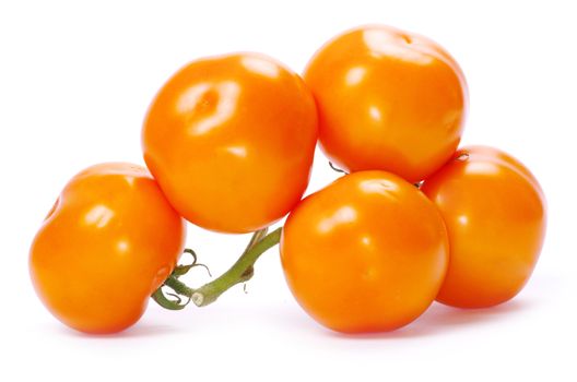  tomato isolated on a white