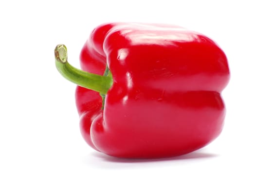 red pepper  isolated on a white background