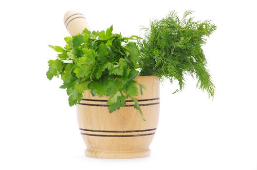 Healing herbs on white background 