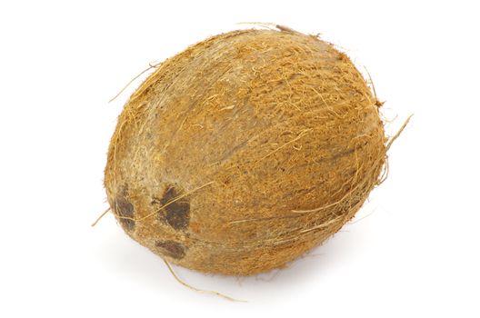 Whole coconut on white background