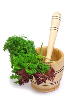 Healing herbs on white background 