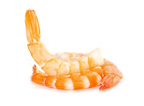 Shrimp isolated ona white background