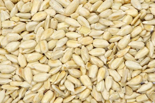 roasted sunflower seeds close up