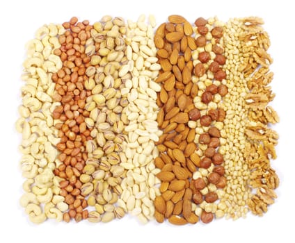 mixed nuts on a background