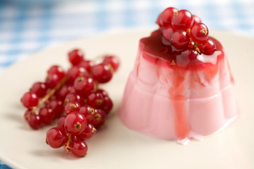 Delicious pink panna cotta dessert with berries