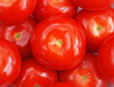 closeup of red, ripe tomatoes