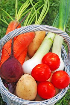 fresh farm vegetables in a basket
