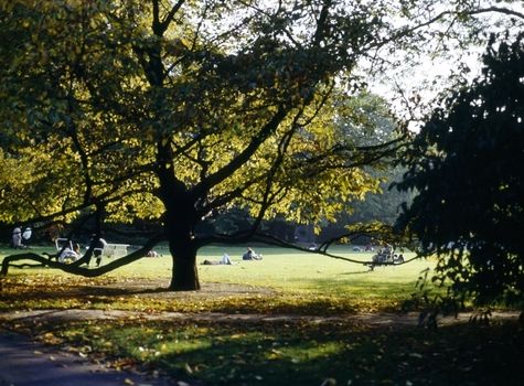 Park, Vienna