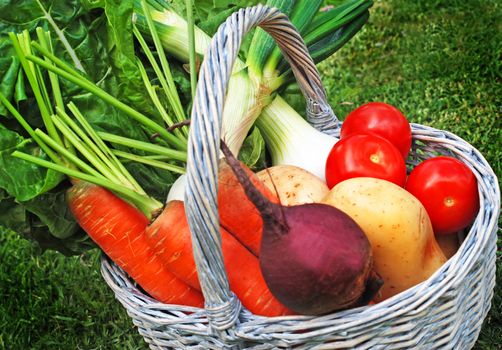 fresh farm vegetables in a basket