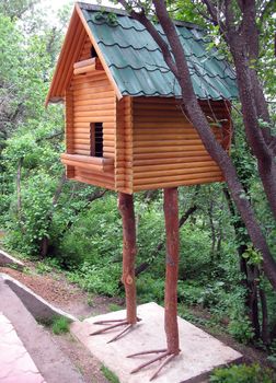 The house on legs on a tree in park