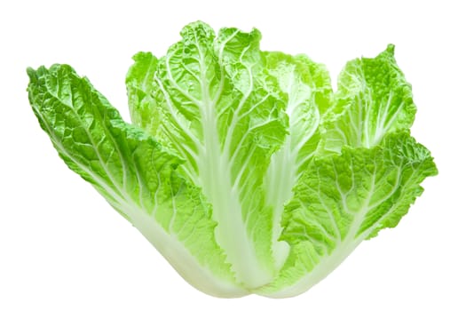Head of chinese cabbage isolated on white