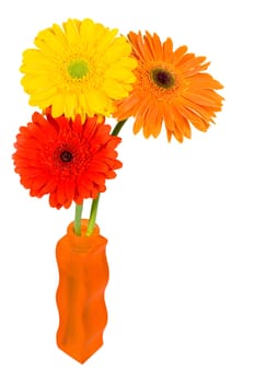 Still-life of a Gerbera Daisies in a orange vase