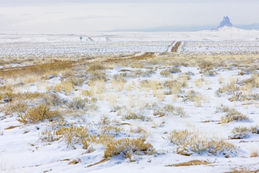 winter landscape of Colorado, USA