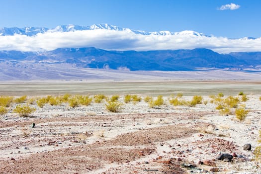 Death Valley National Park, California, USA