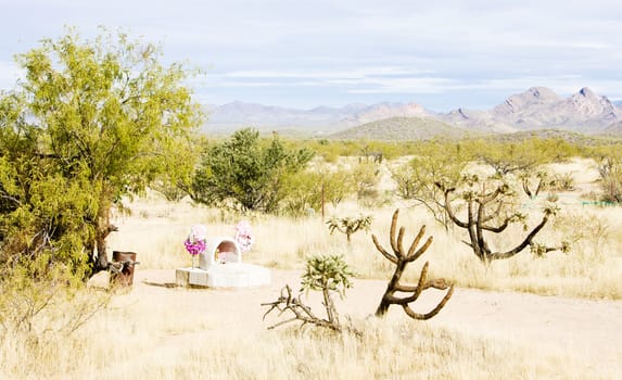landscape of Arizona, USA